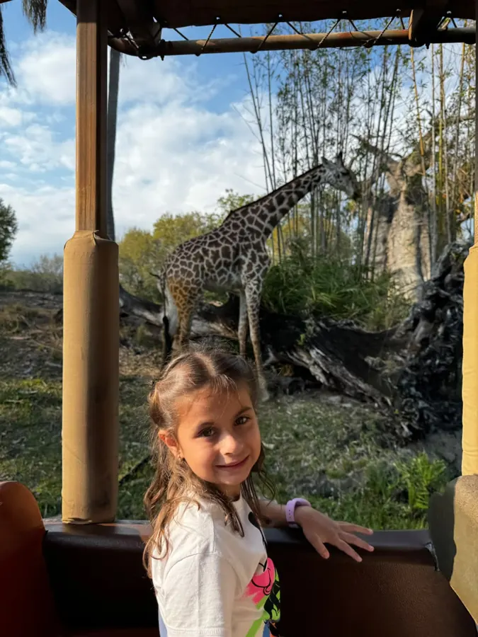 Pertinho das girafas 🦒